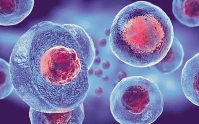The Science of Healing with Mesenchymal Stem Cells